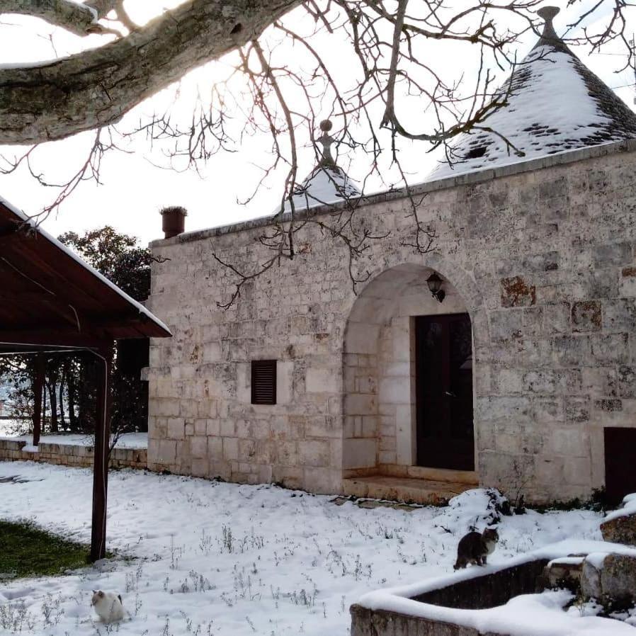 阿尔贝罗贝洛Trulli Panoramici住宿加早餐旅馆 外观 照片