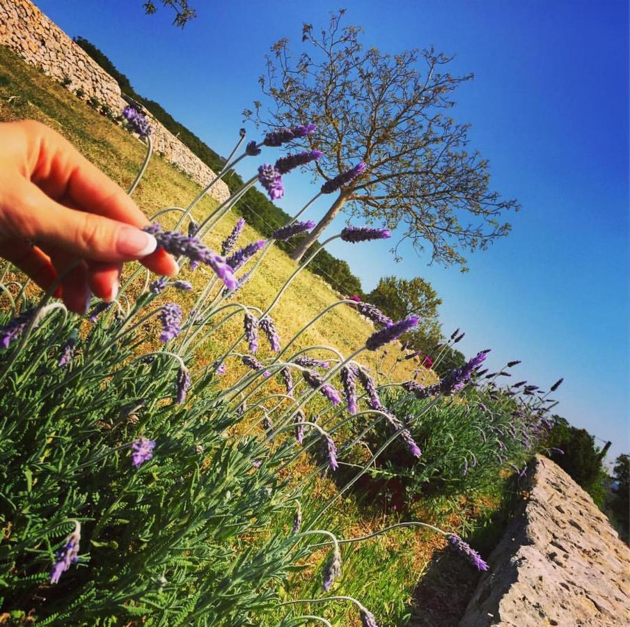 阿尔贝罗贝洛Trulli Panoramici住宿加早餐旅馆 外观 照片