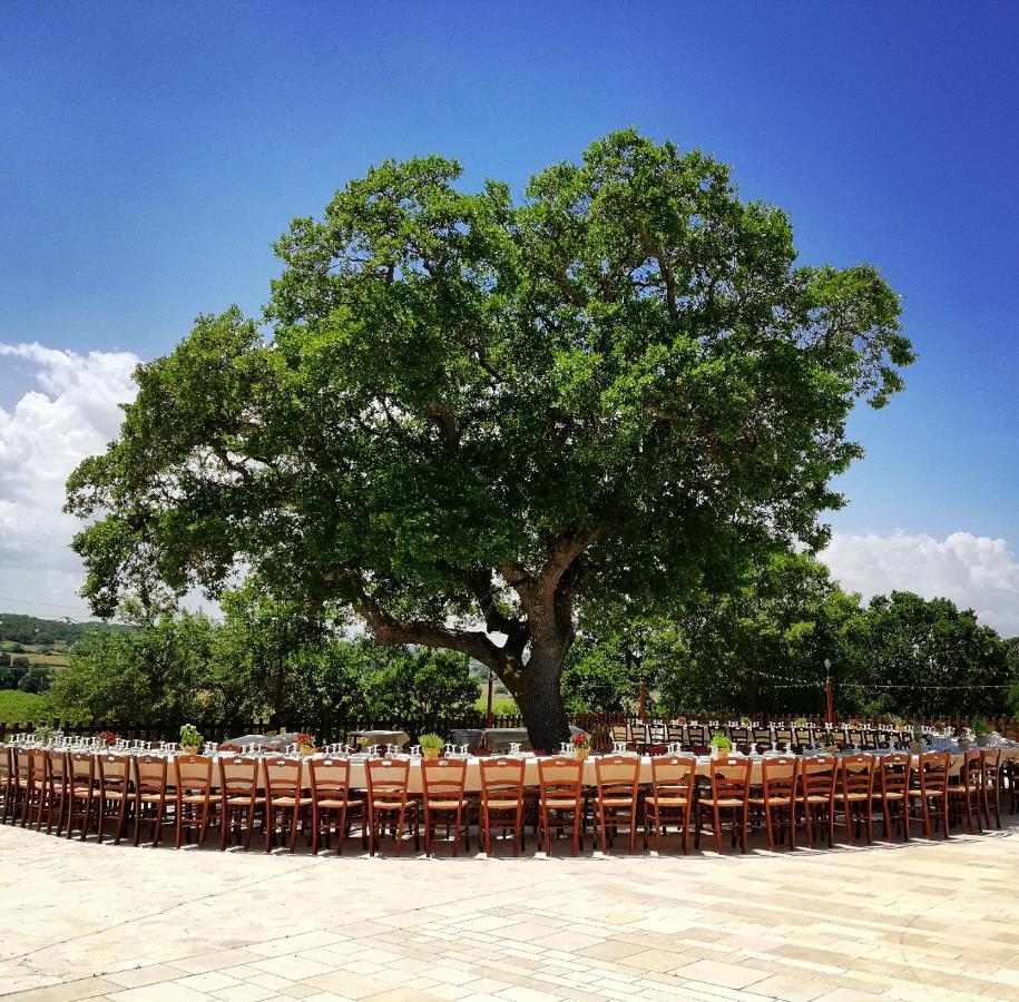 阿尔贝罗贝洛Trulli Panoramici住宿加早餐旅馆 外观 照片