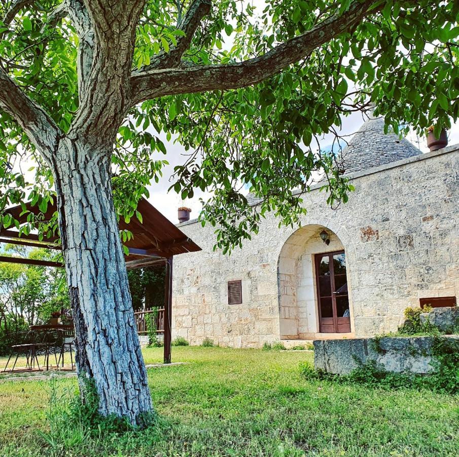 阿尔贝罗贝洛Trulli Panoramici住宿加早餐旅馆 外观 照片